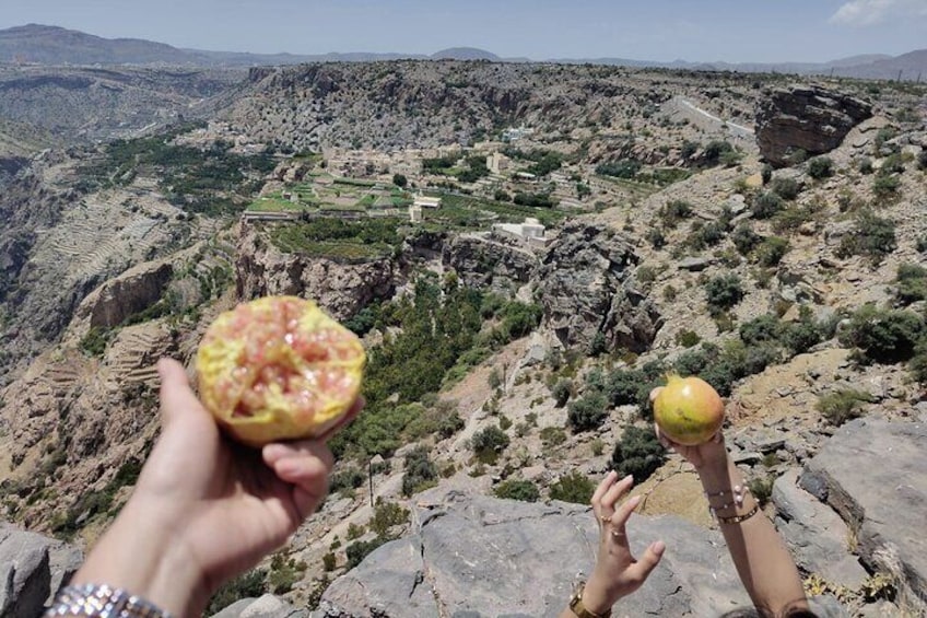  Full-Day Private Nizwa and Jebel Akhdar Tour
