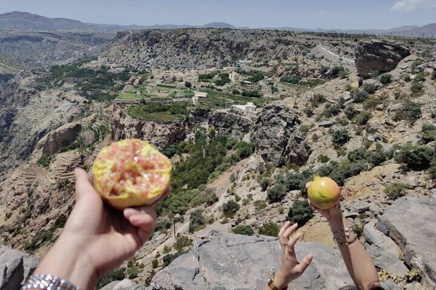Full-Day Private Nizwa and Jebel Akhdar Tour