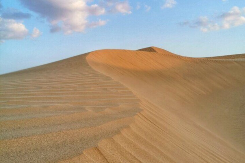 Full-day Private Desert Tour in Salalah with Pick Up