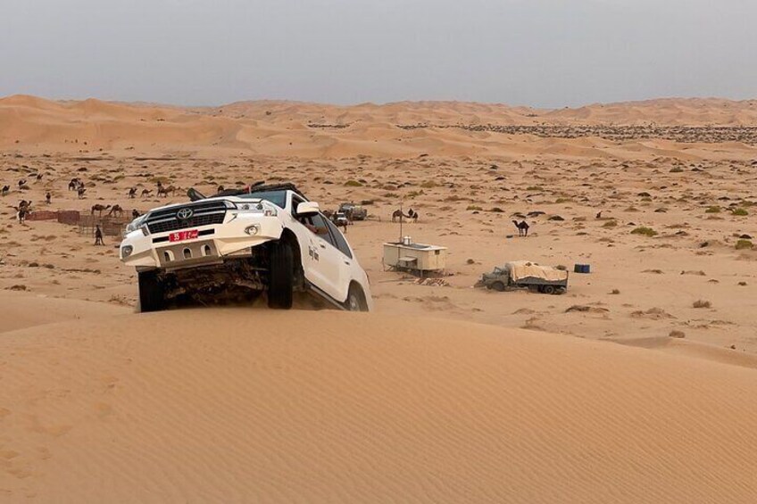 Desert Safari, Sunset & Sand Bashing ( Rub Al Khali Desert )