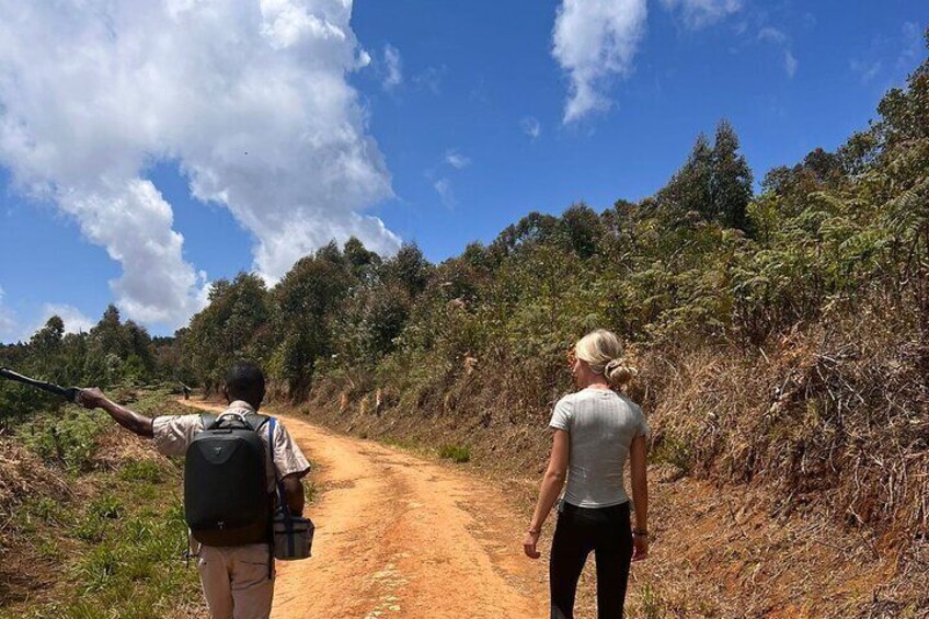 Zomba plateau Day Hike Tour