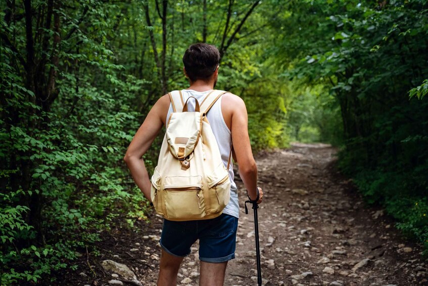 Picture 1 for Activity Rio: Tijuca National Park Private Guided Hike with Transfer