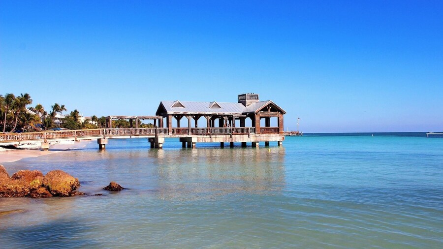 From Miami: Day Trip to Key Largo with Optional Activities