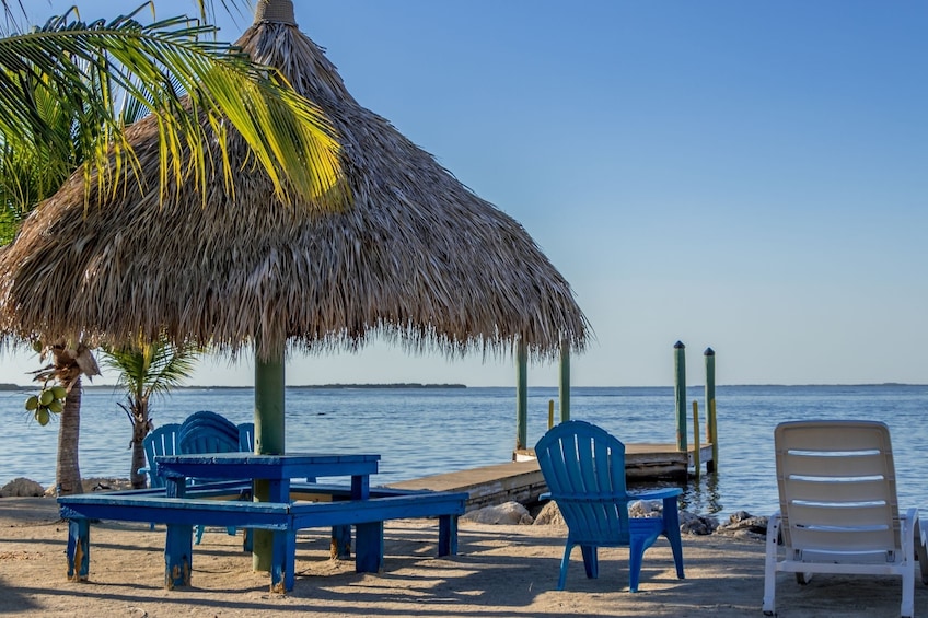 From Miami: Day Trip to Key Largo with Optional Activities 