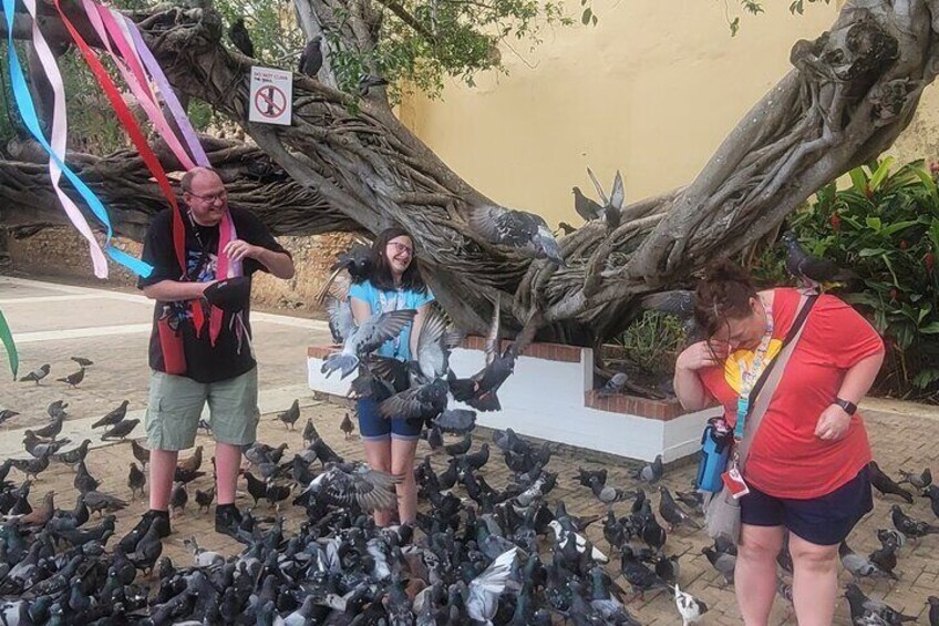 Kids and Family Old San Juan Science and History Fun Tour