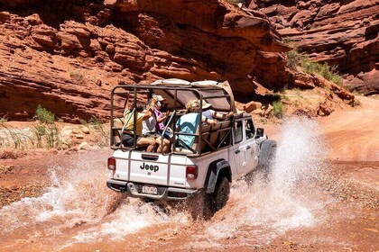 Tour en jeep de medio día por la tarde