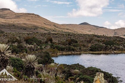 Tour to the Magical Moorland of Sumapaz - Birdwatching Unique species