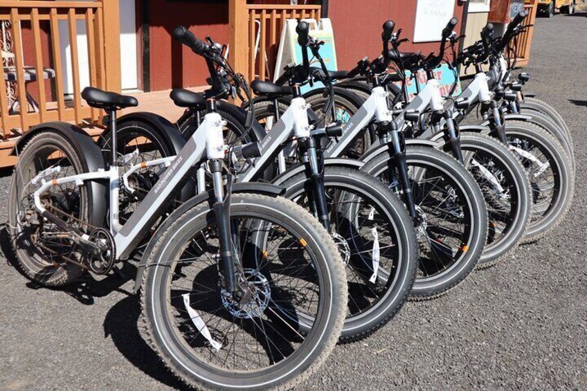 Experience E-Bike with Wine Tasting Activity