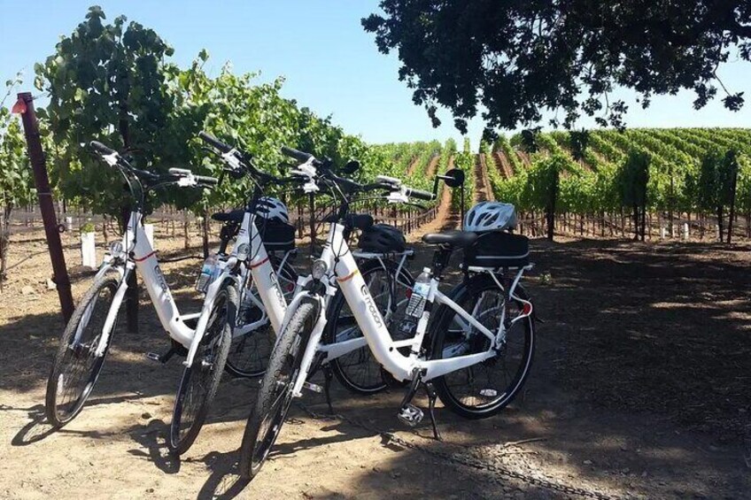 Experience E-Bike with Wine Tasting Activity