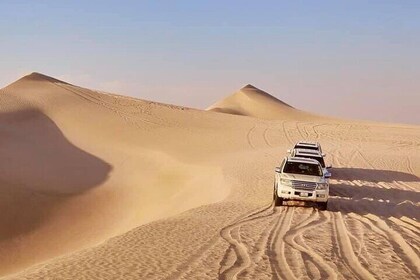 Qatar : Half Day Desert Safari with Camel ride And sand Boarding