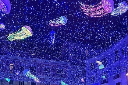 Walking Tour "Ancient & modern Salerno"