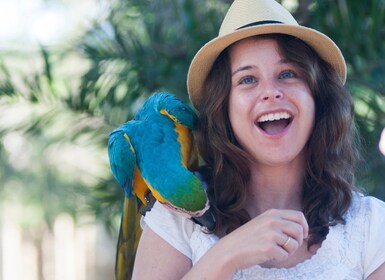 Cartagenassa: Kolumbian kansallinen lintutarha (National Aviary of Colombia...