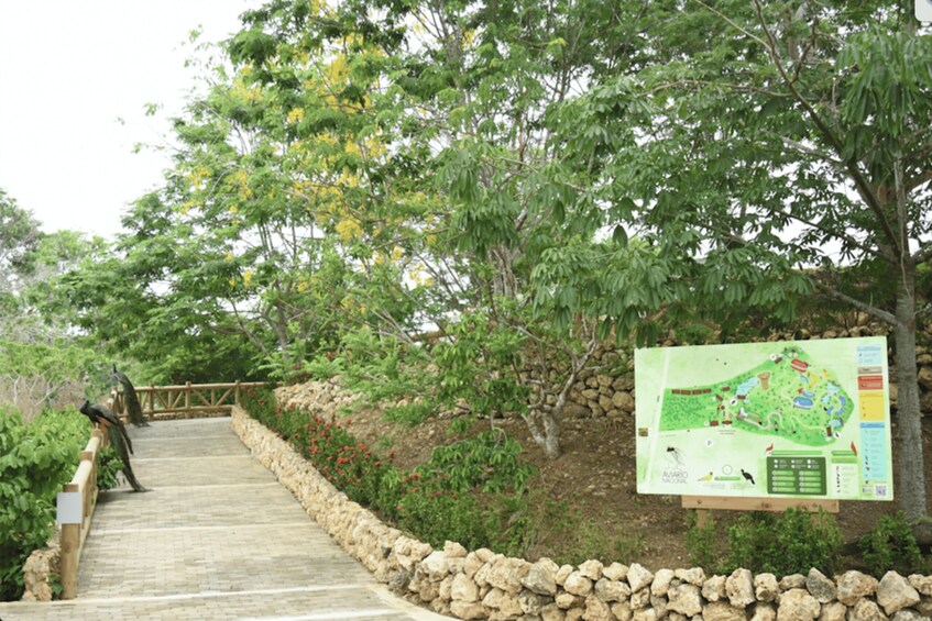 Picture 9 for Activity Cartagena: National Aviary of Colombia Entrance Tickets