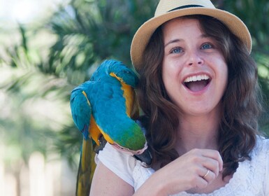 Cartagenassa: Kolumbian kansallinen lintutarha (National Aviary of Colombia...