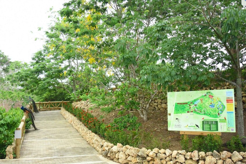 Picture 9 for Activity Cartagena: National Aviary of Colombia Entrance Tickets