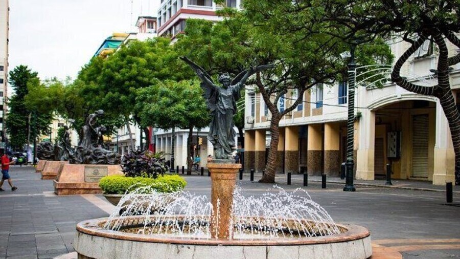 Half Day Walking Tour of Guayaquil Pearl of the Pacific
