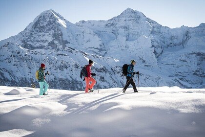 Snowshoe Tour Isenfluh