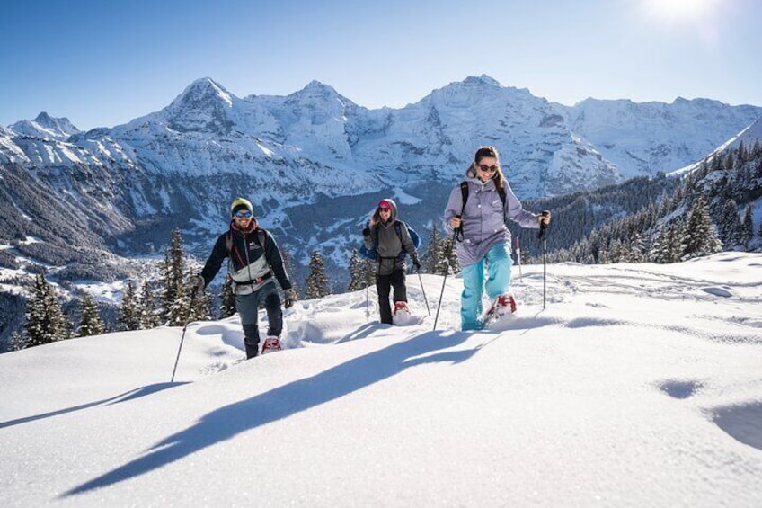 Snowshoe Tour Isenfluh