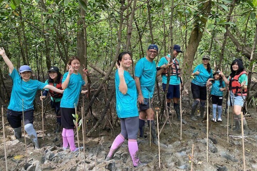 Floating & Railway Markets with Optional Mangrove Conservatory