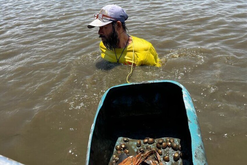 Floating & Railway Markets with Optional Mangrove Conservatory