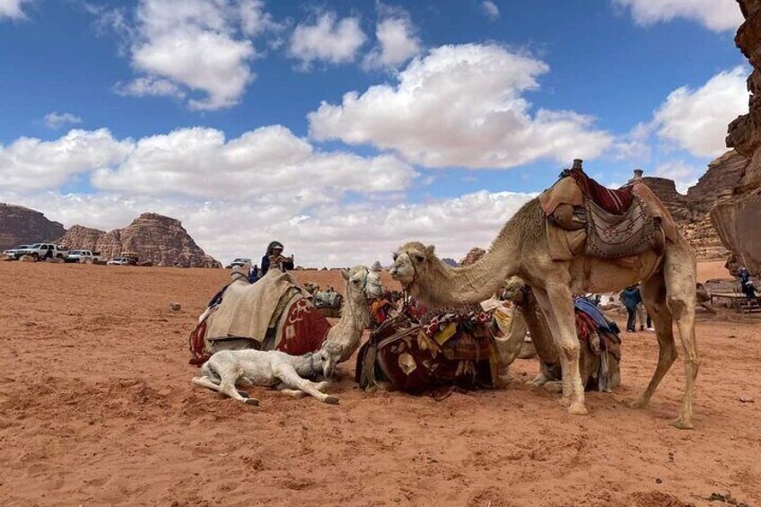 Full-Day Jeep Tour with Overnight