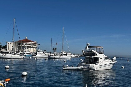 8 Hour Private Luxury Yacht Charter to Catalina Island
