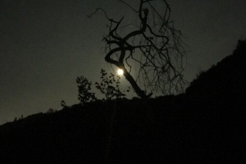 Griffith Park Full Moon Hike