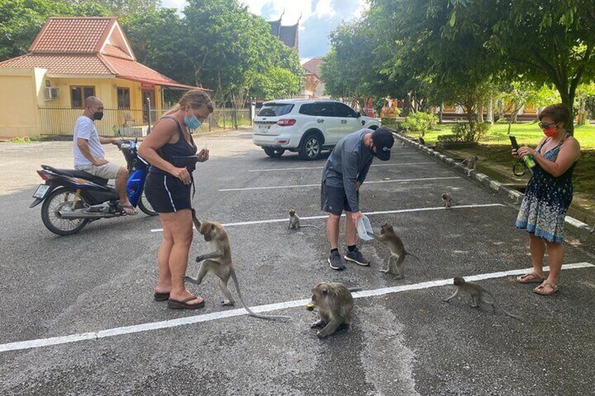 Feeding money at monkey temple 