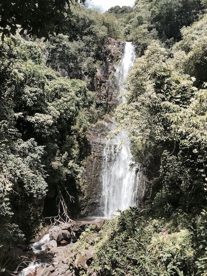 Road to Hana Day Trip for Cruise Ships on Maui