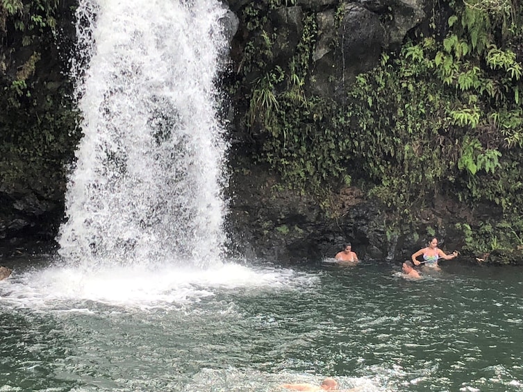 Road to Hana Day Trip for Cruise Ships on Maui