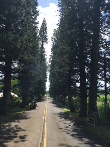 Road to Hana Day Trip for Cruise Ships on Maui