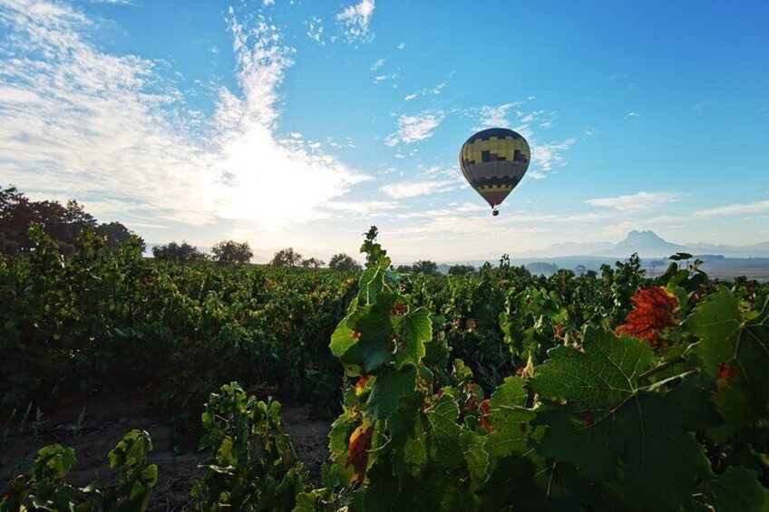 Hot Air Balloon and Wine Tasting Private Guided Tour