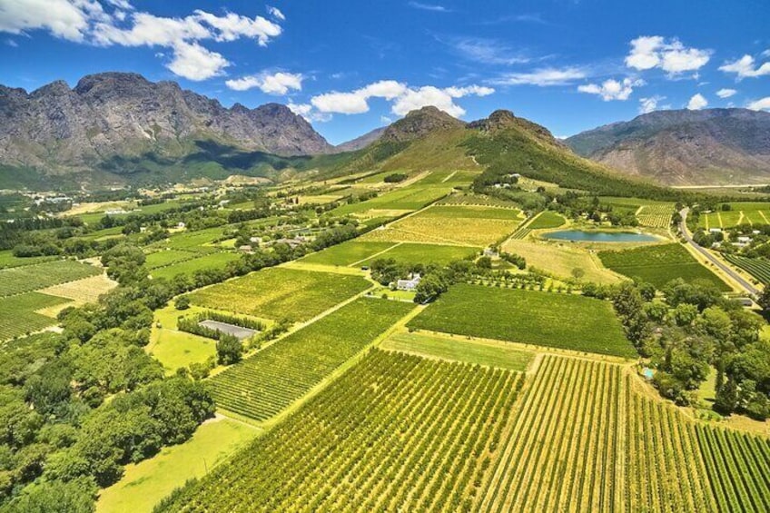 Hot Air Balloon and Wine Tasting Private Guided Tour