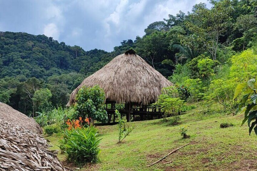 From Amador Cruise Port: Embera Tribe Tour