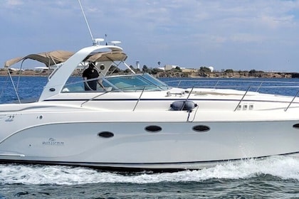 Private Luxury 45' Bay Cruiser Tour in San Diego: Suitable for Any Events 
