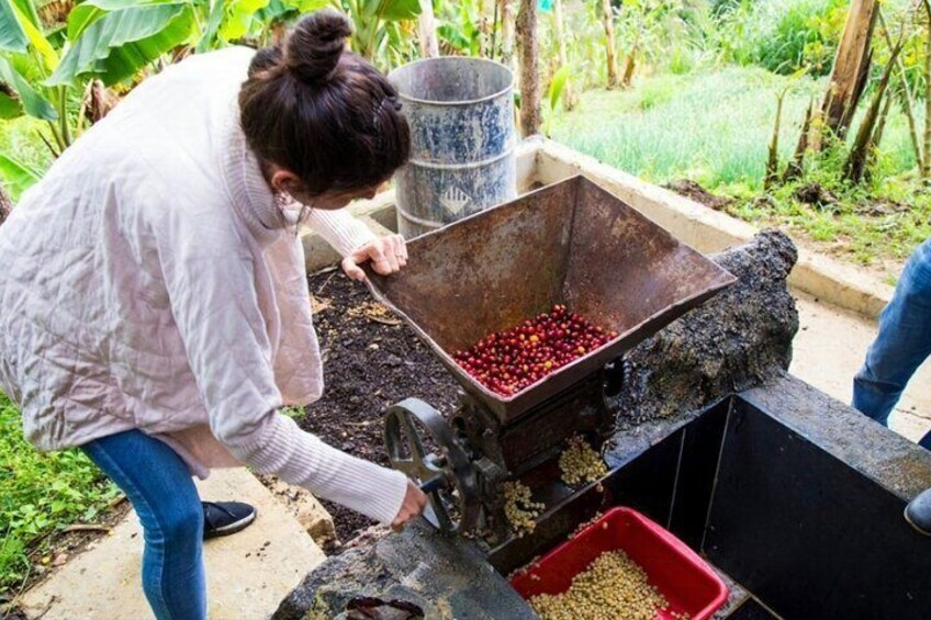 Medellin Horse ride coffee tour and spa