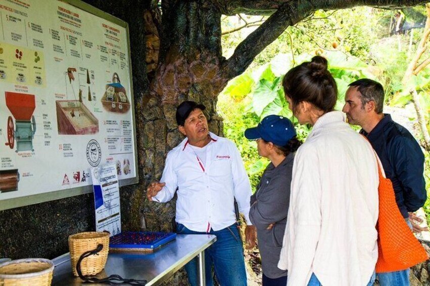 Medellin Horse ride coffee tour and spa