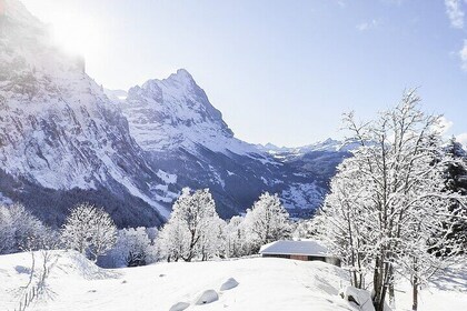 Tour con raquetas de nieve Wetterhorn Grindelwald