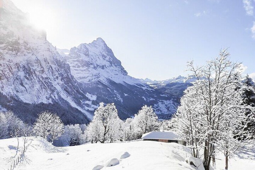 Snowshow Tour Wetterhorn Grindelwald