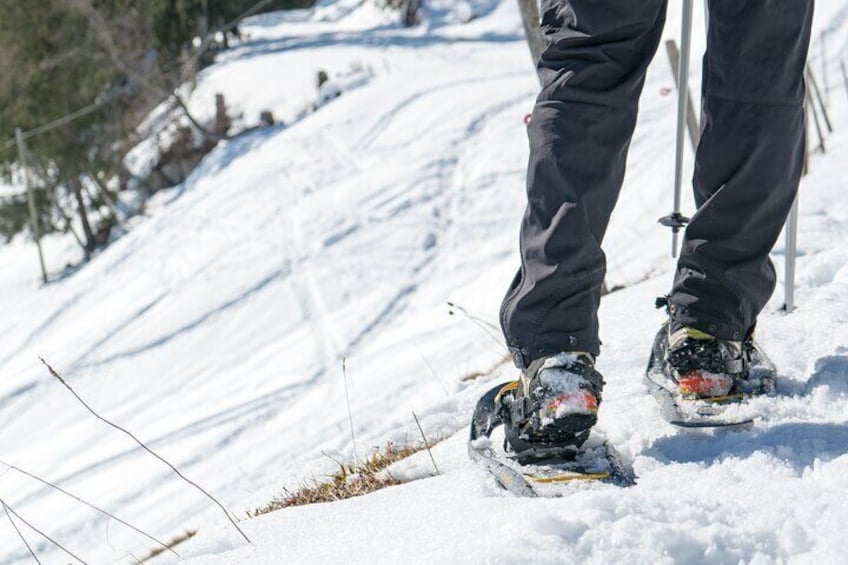 Snowshoe Tour Wetterhorn Grindelwald