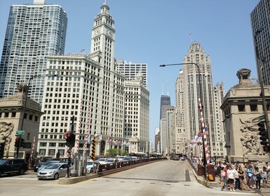 Chicago: Magnificent Mile Walking Tour