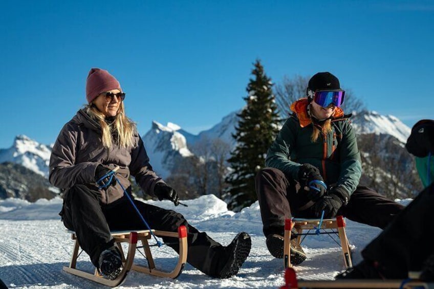 Day Sledding in Interlaken