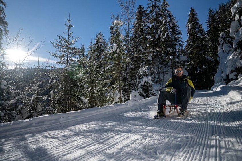 Day Sledding in Interlaken