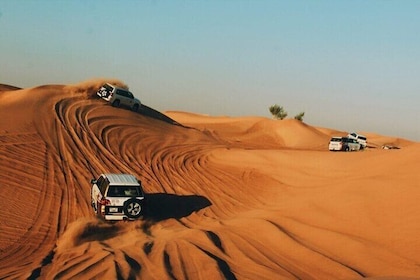 迪拜沙漠野生動物園，提供現場表演、燒烤晚餐、騎駱駝和沙板選項
