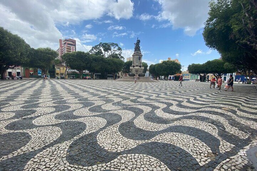 Private city tour through the historic center of Manaus