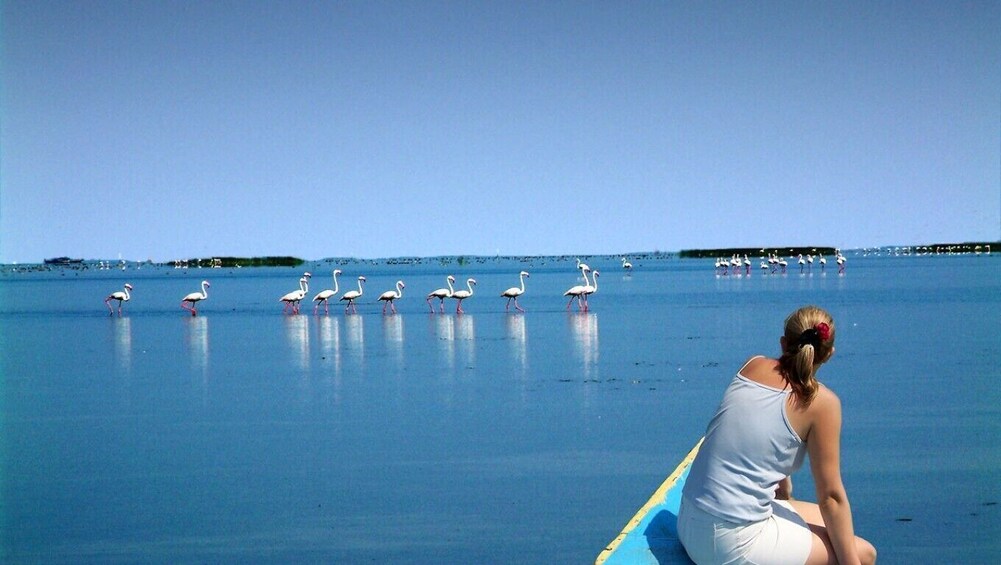 12-Day Tour Of UNESCO World Heritage Sites, Lake Cruise & Tiger Safari