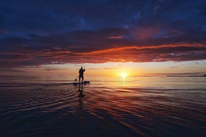 Reykjavik Sunset & Private Paddle Board Tour with Photographer
