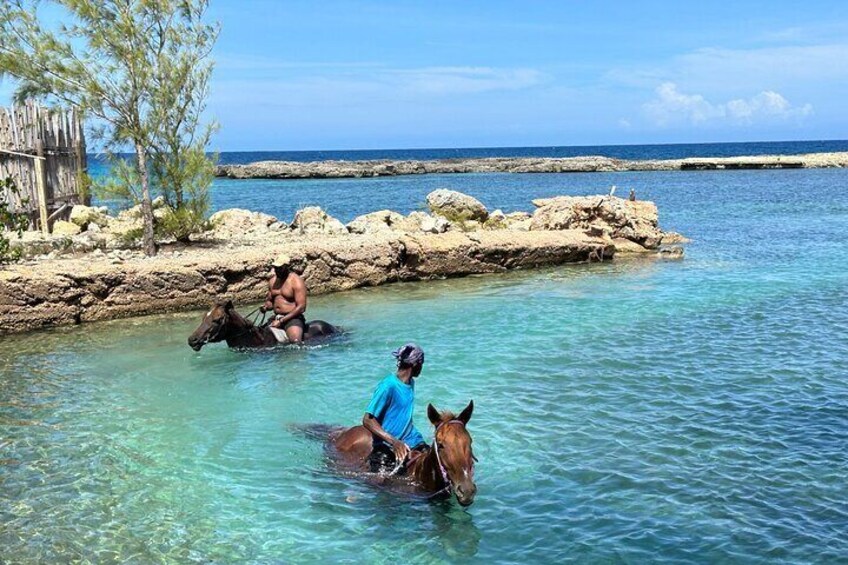 Private Horseback ride and swim in Montego Bay