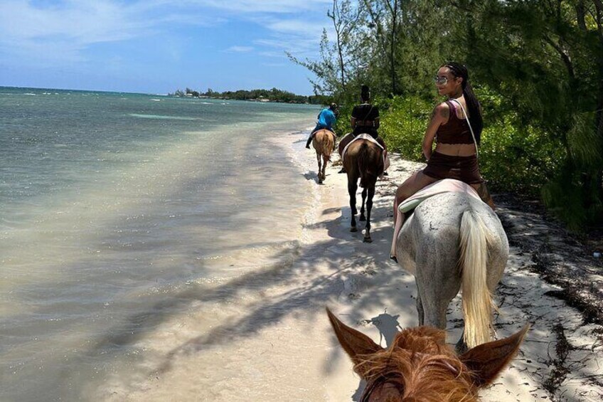 Private Horseback ride and swim in Montego Bay