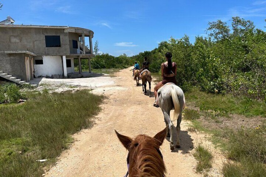 Private Horseback ride and swim in Montego Bay